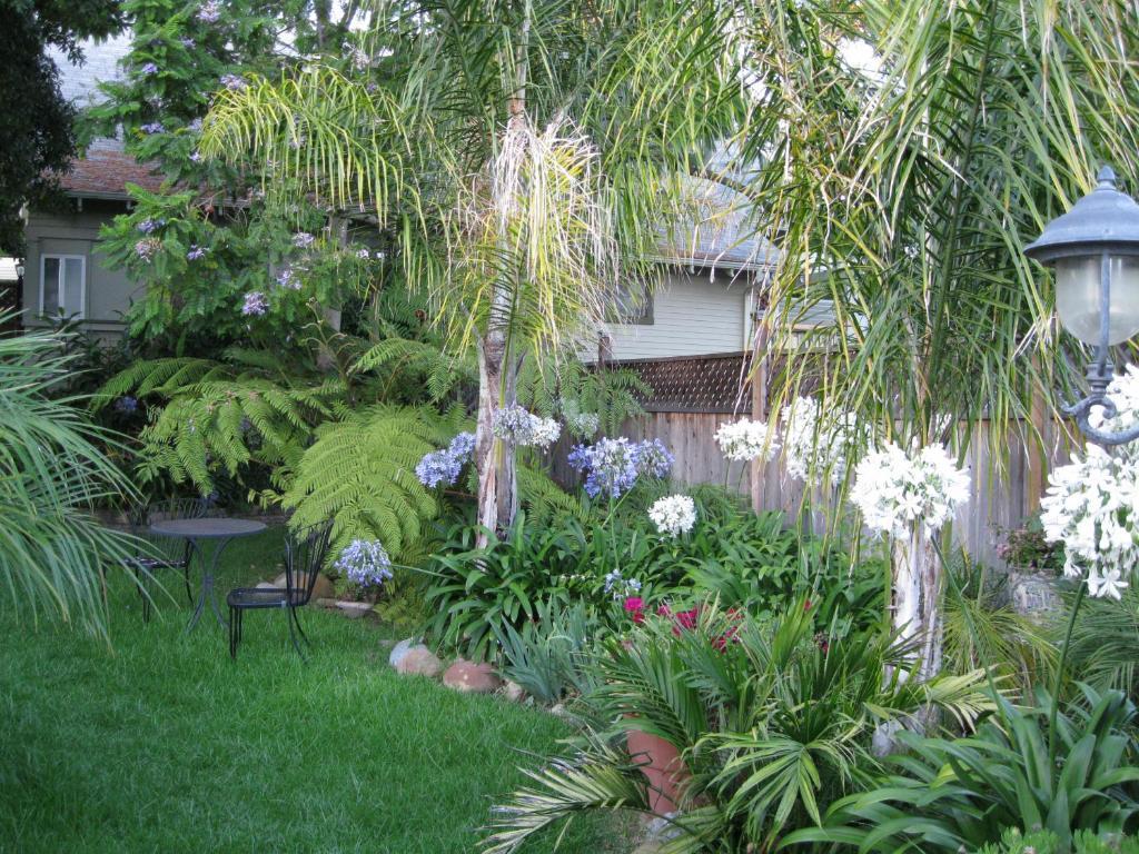 A White Jasmine Inn Santa Barbara Extérieur photo